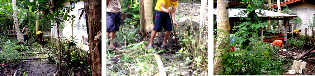 Images of wall being built along
        tropical garden boundary