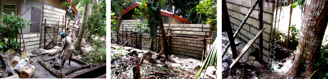 Images of wall constructed along tropical backyard
            boundary