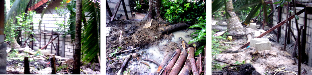 Images of wall constructed along tropical backyard
            boundary