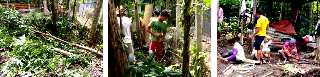 Images of preparation to build a wall along boundary of
        tropical backyard