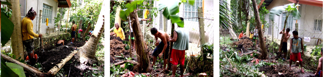 Images of preparation to build a wall
        along boundary of tropical backyard