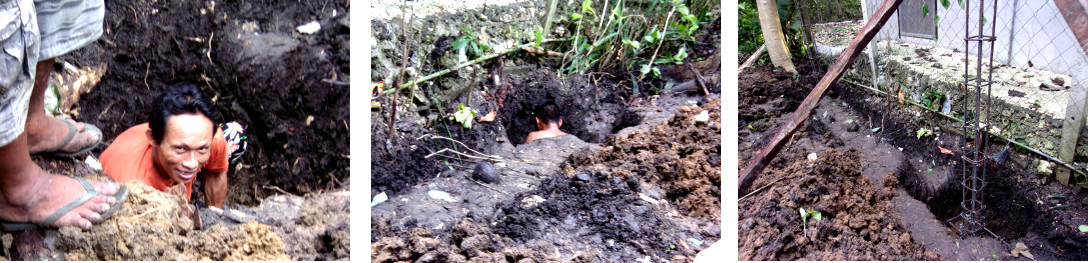 Images of preparation to build a wall along boundary of
        tropical backyard