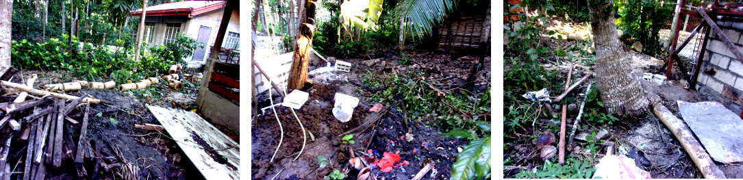 Images of construction of wall
                along tropical backyard boundary