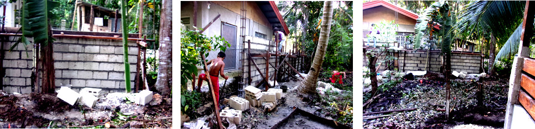 Images of construction of wall along
                        tropical backyard boundary