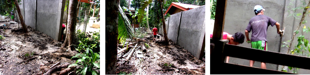 Images of construction of wall
            along tropical backyard boundary