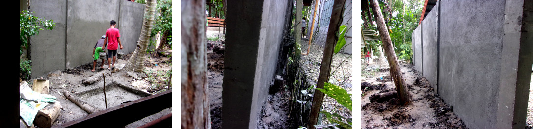 Images of wall constructed along tropical backyard
            boundary