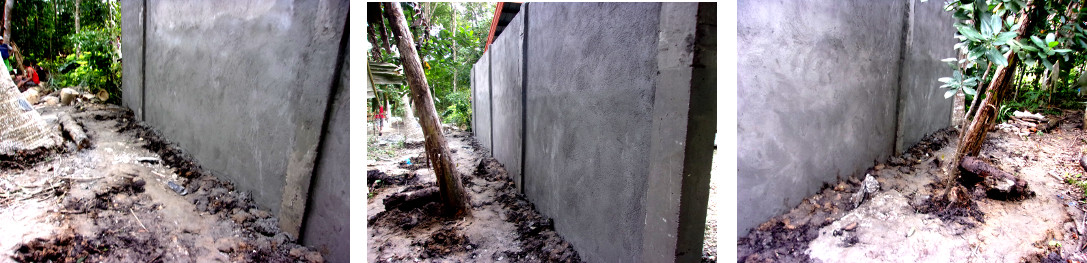 Images of wall constructed along tropical backyard
            boundary