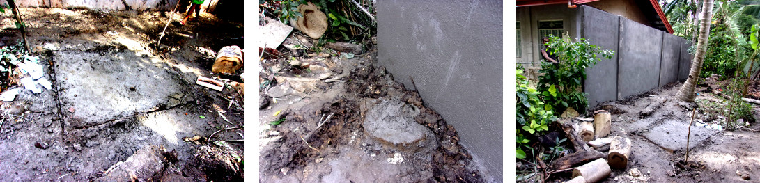 Images of mess left by
            construction of wall along tropical backyard boundary