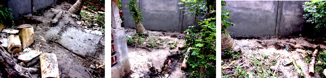 Images of mess left by construction of wall along
            tropical backyard boundary