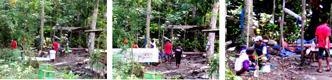 Images of workers preparing to
            leave after constructing a wall along tropical backyard
            boundary