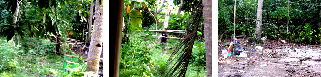 Images of workers leaving after
            constructing a wall along tropical backyard boundary