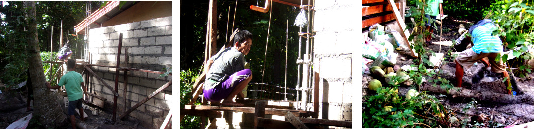 Image of construction of a tropical backyard
            boundary wall