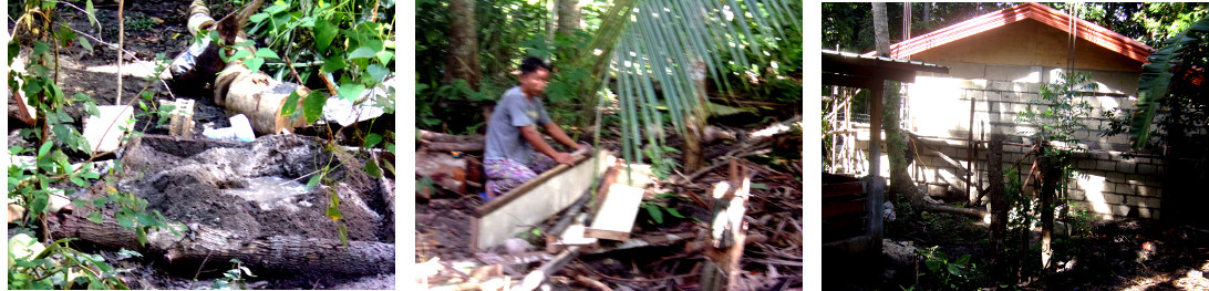 Image of construction of a tropical backyard
            boundary wall