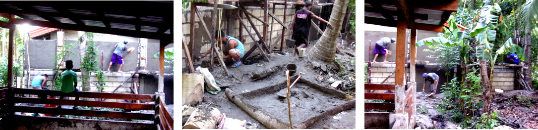 Image of construction of a tropical backyard
            boundary wall