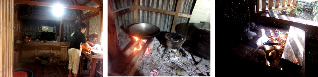 Images of preparing for tropical
        birthday lunch