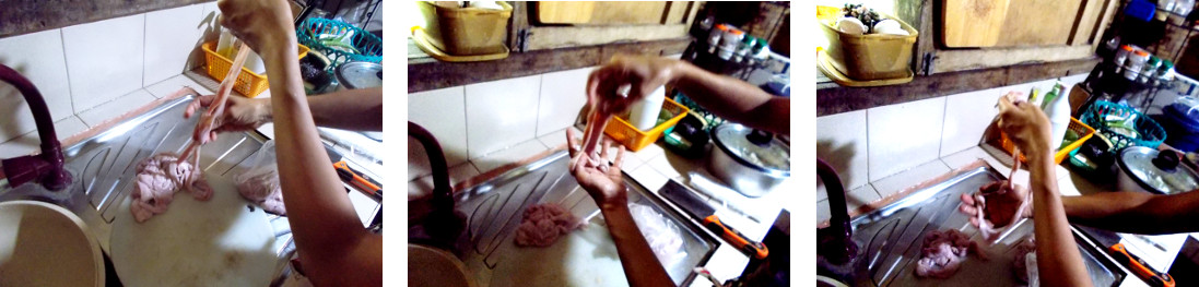 Images of hog casings being washed for
        sausages