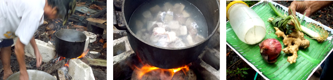 Images of preparing a soupy snack after butchering a
        tropical backyard pig