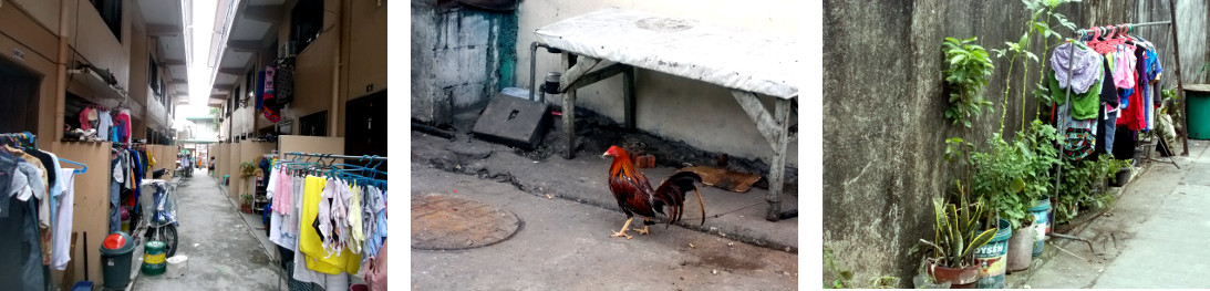 Images of the poor part of Metro Manila