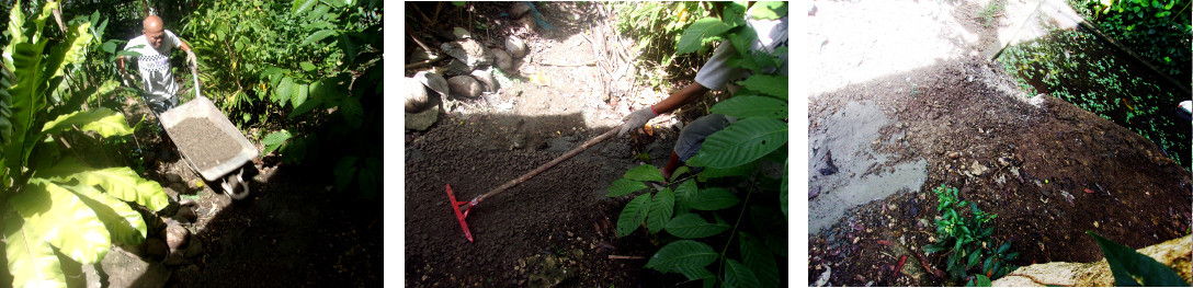 Images of construction of a wetlands to clean domestic
        water in tropical backyard