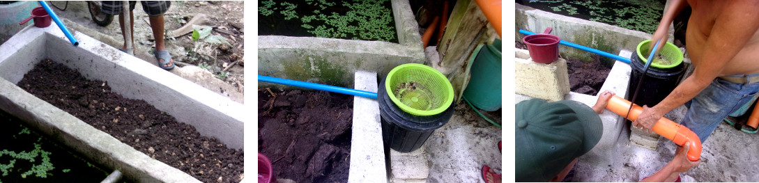 Images of construction of a wetlands
        to clean domestic water in tropical backyard