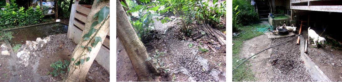 Images of construction of a wetlands to clean domestic
        water in tropical backyard