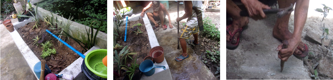 Images of men putting finishing
        touches to tropical backyard planter recycling kitchen water