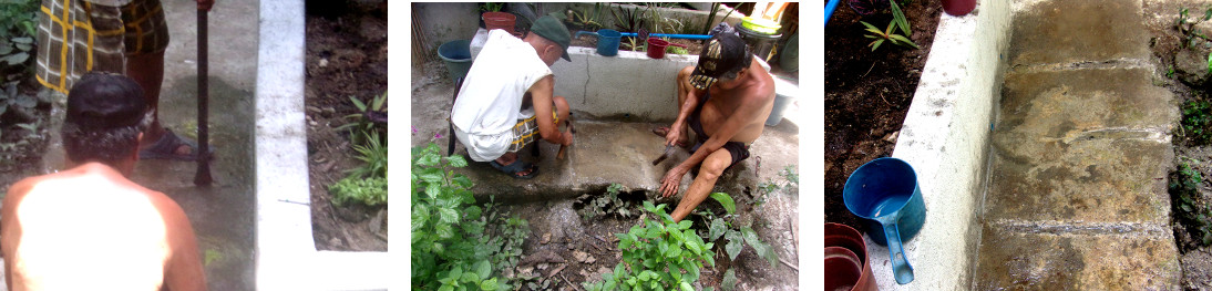 Images of men putting small drainage channels next to
        tropical backyard planter recycling kitchen water