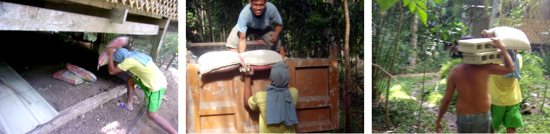 Images of starting construction of a wetlands to clean
        domestic water