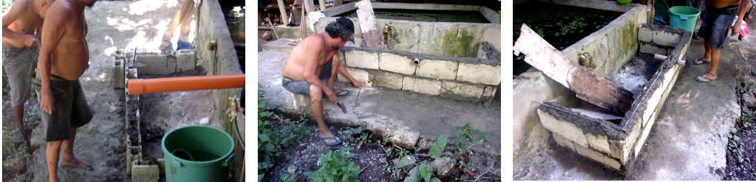 Images of starting construction of a wetlands to clean
        domestic water