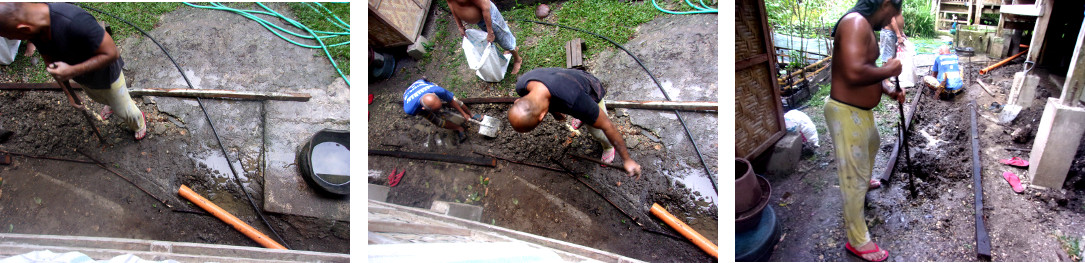 Images of construction of a wetlands to clean domestic
        water