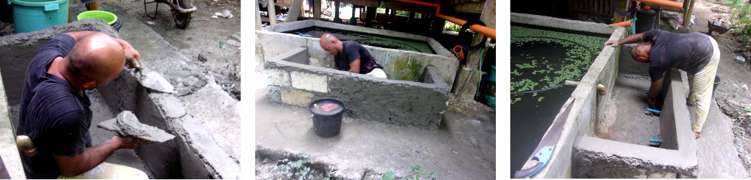 Images of starting construction of a wetlands to clean
        domestic water