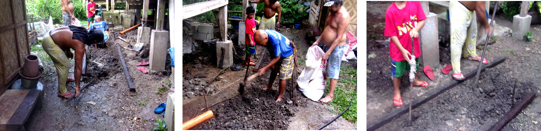 Images of construction of a wetlands
        to clean domestic water