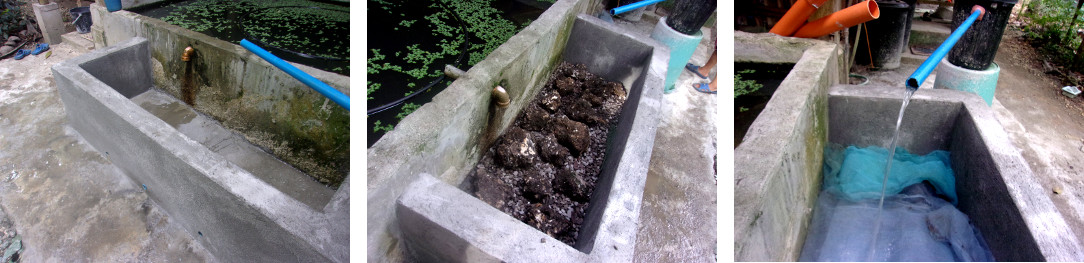 Images of construction of a wetlands
        to clean domestic water