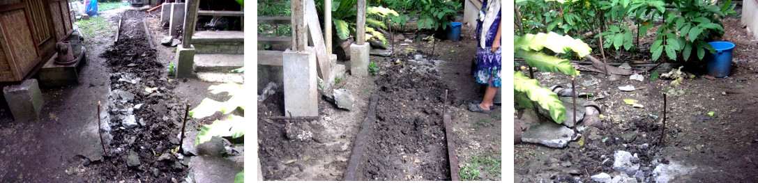 Images of construction of a wetlands
        to clean domestic water