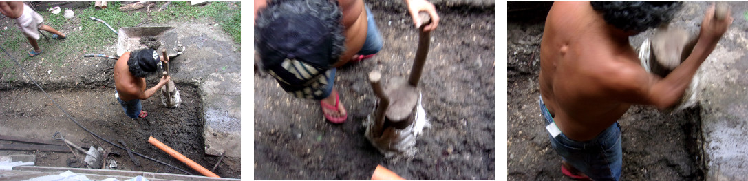 Images of construction of a wetlands to clean domestic
        water