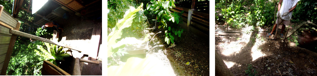 Images of construction of a wetlands
        to clean domestic water