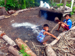 Image of kids playing in a tropical
        backyard