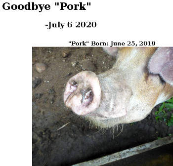Visual link to "Goodbye Pork" webpage