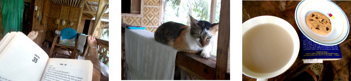 Images of a lazy day spent on a tropical balcony