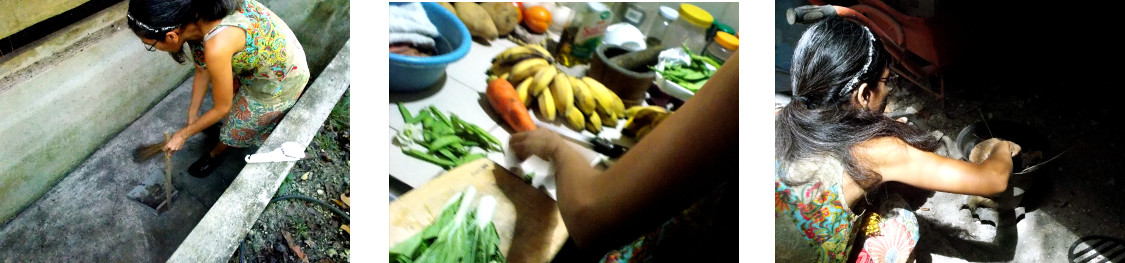 Images of woman working in tropical home