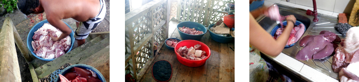 Images of a butchered tropical backyard
        pig