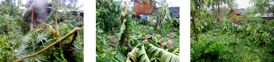 Images of devastation after
          typhoon Rai