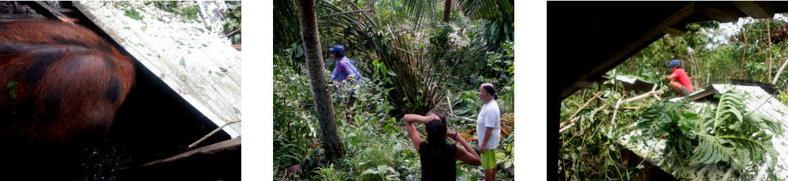 Images of people clearinbg up
          damage in tropical backyard after typhoon RAI