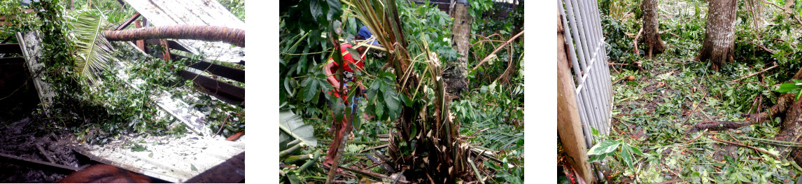 Images of devastation after
          typhoon Rai