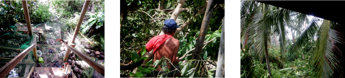 Images of clearing up after
          devastation of typhoon Rai