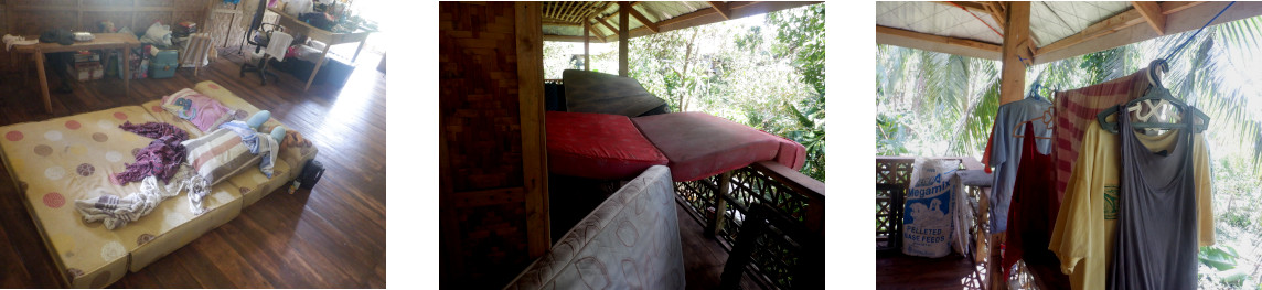 Images
            of drying out house after typhoon RAI