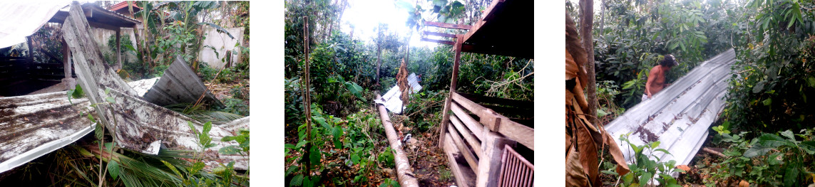 Images of damaged pig pen roof being
        removed to be used for house repair after typhoon Rai