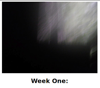 Visual
          link to first week of the aftermath of typhoon Rai