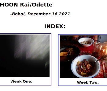 Visaul link to index Typhoon Rai