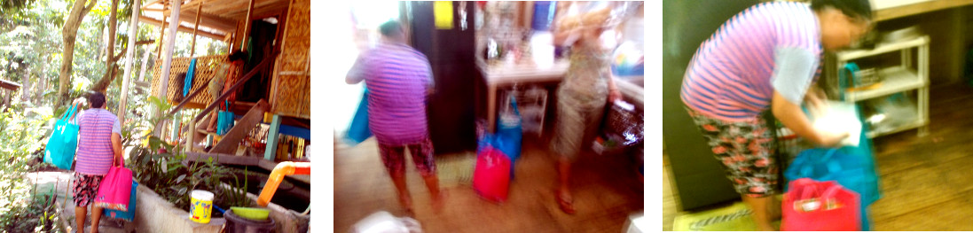 Images of shopping being brought home in tropical house